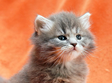 Frieda am 4.4.2021
